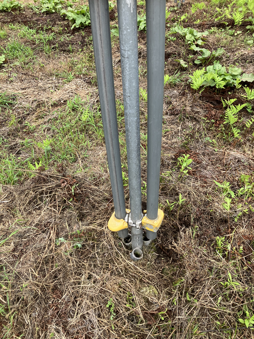 リンゴ園 リンゴ園